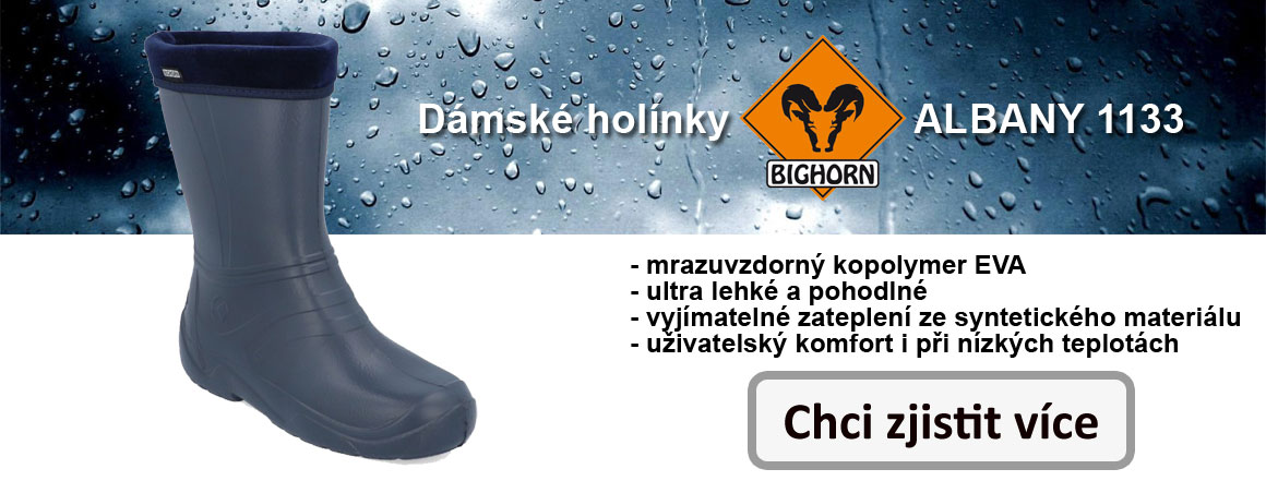 d_holinky_2_cz